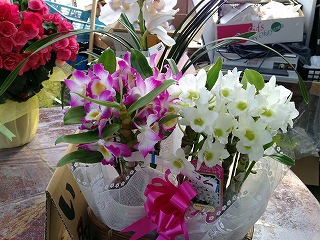 2017-03-25 07 2017-03-25 07