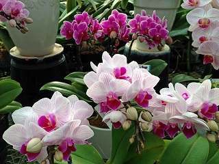 2017-03-25 07 2017-03-25 07