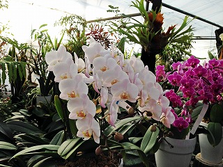 2017-03-25 07 2017-03-25 07