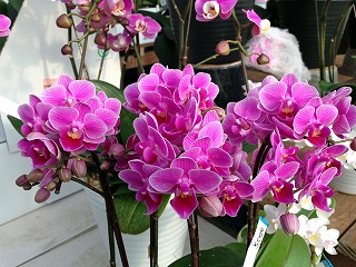 2017-03-25 07 2017-03-25 07