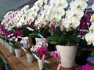 2017-03-25 07 2017-03-25 07