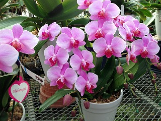 2017-03-25 07 2017-03-25 07